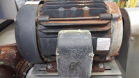333021 - (1) ONE CORNELL FOOD PROCESS PUMP