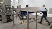 333031 - (1) ONE STRAIGHT CONVEYOR