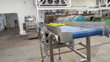333031 - (1) ONE STRAIGHT CONVEYOR