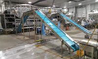 331882 - COASTLINE PRODUCT CONVEYOR - intechenterprises.com