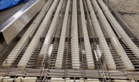 331966 - ONE COASTLINE CONVEYOR - intechenterprises.com